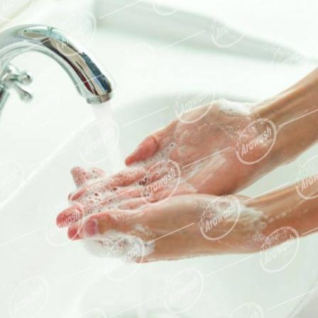  Top 10 best brands of hand wash liquid 