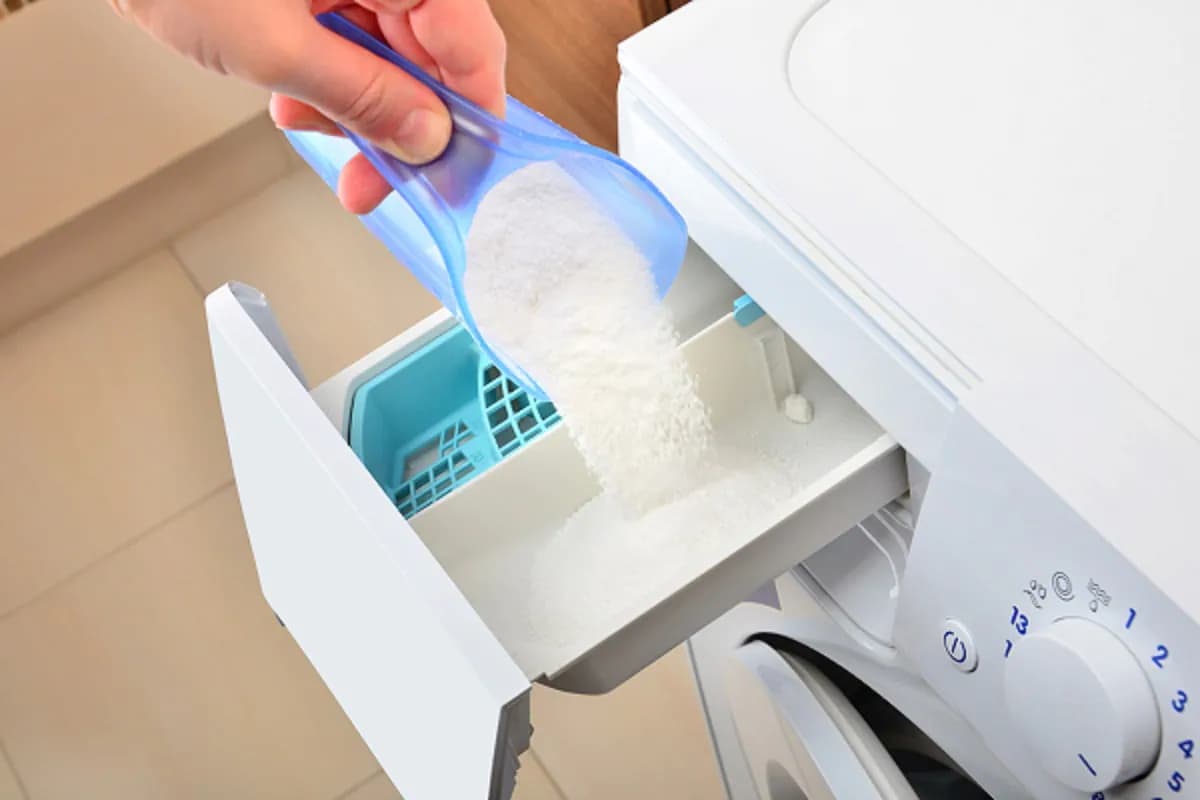  Introducing laundry washing powdwer + the best purchase price 