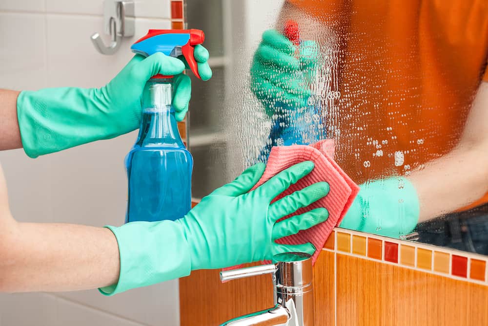  Vinegar Spray Cleaner Purchase Price + Quality Test 