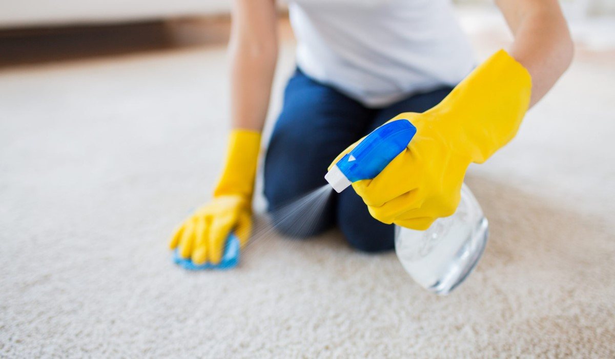  Buy spray foam carpet cleaner + best price 